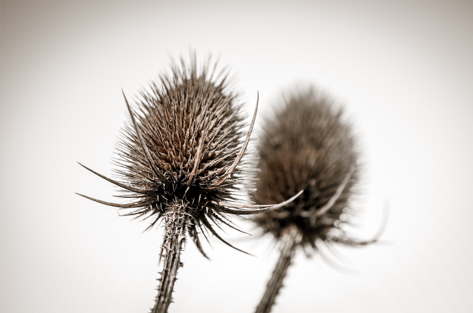 Radu ILIE - Alter-realities [0023;0002]